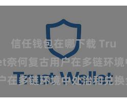 信任钱包在哪下载 Trust Wallet奈何复古用户在多链环境中处治和兑换金钱？