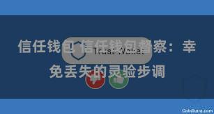 信任钱包 信任钱包督察：幸免丢失的灵验步调